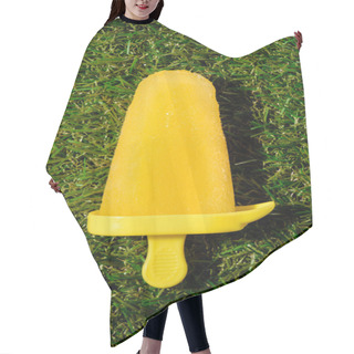 Personality  Yellow Ice Pop On Green Grass Background Hair Cutting Cape