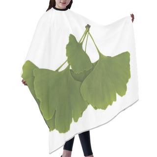 Personality  Ginkgo Leaves Isolated Hair Cutting Cape