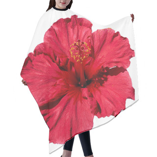 Personality  Isolated Hibiscus Flower On A White Background From Top View. Creative Flower Design Hair Cutting Cape