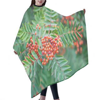 Personality  Sorbus Hair Cutting Cape