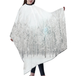 Personality  Scenic View Of Snowy Trees And Sunlight In Winter Forest Hair Cutting Cape