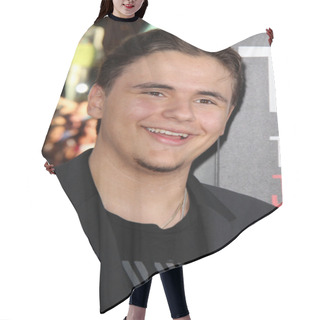 Personality  Prince Jackson Hair Cutting Cape