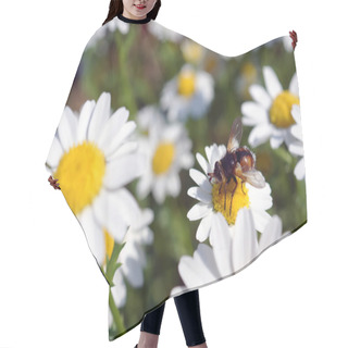 Personality  Beautiful Flowers In The Spring With A Cute Little Bee Hair Cutting Cape