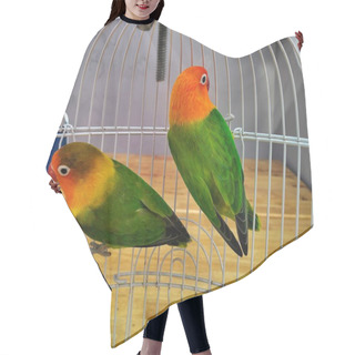 Personality   A Pair Of Lovebirds In A Cage Hair Cutting Cape