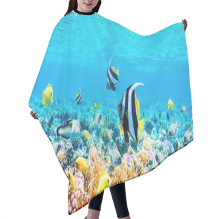 Personality  Seascape With Tropical Fish And Coral Reefs Hair Cutting Cape