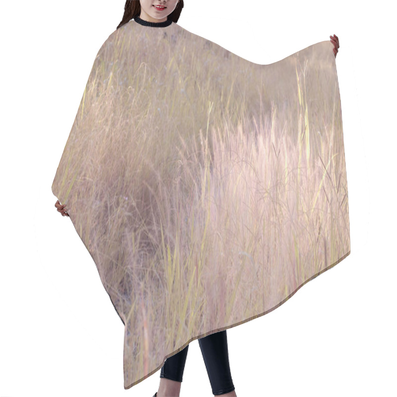 Personality  Infrared Image Of Bushy Pink Fountain Grass In The Wild Meadow. Hair Cutting Cape