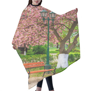 Personality  Pink Blossomed Sakura Tree Near The Bench And Lantern Hair Cutting Cape