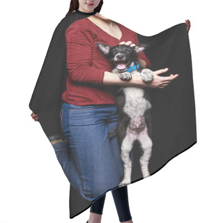 Personality  Cropped View Of Woman In Jeans And Red Sweater With Dog In Collar On Hind Legs Isolated On Black Hair Cutting Cape
