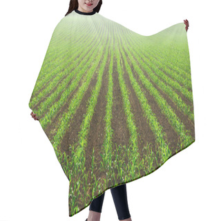 Personality  Rows Of Young Corn Plants Hair Cutting Cape