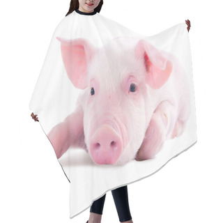 Personality  Pink Pig. Isolated On White Background Hair Cutting Cape