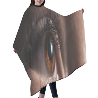 Personality  Close Up View Of Human Brown Eye With Long Eyelashes Looking Away In Dark, Panoramic Shot Hair Cutting Cape