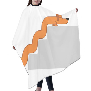 Personality  Dachshund And Stairs. Long Dog Isolated. Gaunt Home Pet Hair Cutting Cape