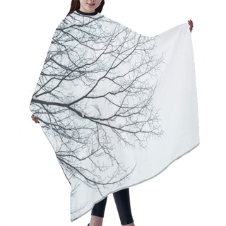 Personality  Dry Tree Branches With Snow Against Clear Blue Sky Hair Cutting Cape