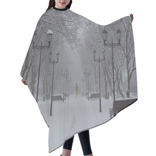 Personality  Snow-covered Alley With Lanterns And Park Benches In The Fog Hair Cutting Cape
