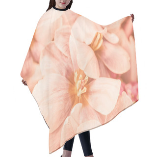 Personality  Color Of The Year 2024 Peach Fuzz. Beautiful Soft Background. Beautiful Flower Composition With Tulip. Flower Shop And Florist Design Concept. Close Up, Floral Background Hair Cutting Cape