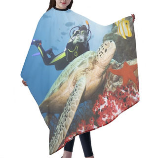 Personality  Green Turtle Underwater Hair Cutting Cape