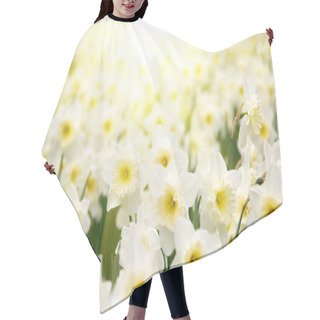 Personality  Narcissus Hair Cutting Cape