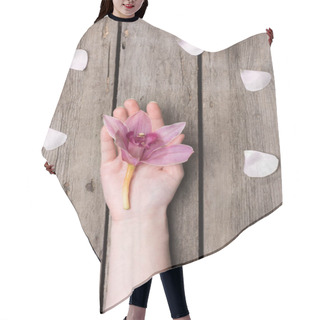 Personality  Person Holding Orchid Hair Cutting Cape