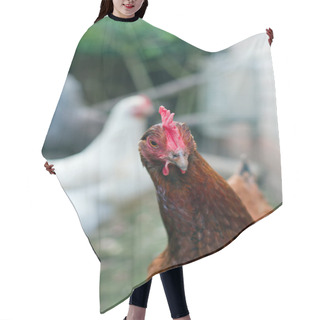 Personality  Hens In A British Garden Hair Cutting Cape