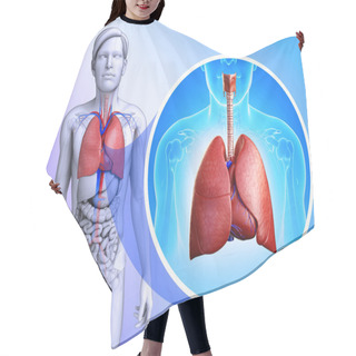 Personality  Male Lungs Anatomy Hair Cutting Cape