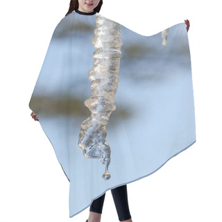 Personality  Abstract Icicles Sparkle, Melt Slowly In Mild Winter Sun.    Hair Cutting Cape