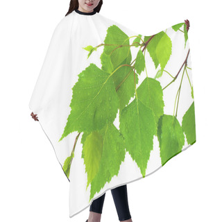 Personality  Birch Leaves Hair Cutting Cape