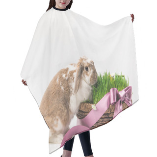 Personality  Rabbit Near Basket With Grass Bound By Pink Ribbon, Easter Concept Hair Cutting Cape