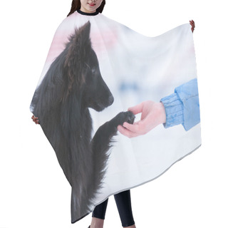 Personality  Young Black Dog Training Hair Cutting Cape