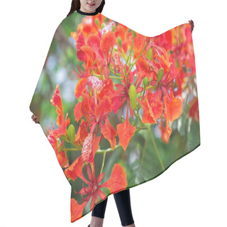Personality  Peacock Flower Hair Cutting Cape