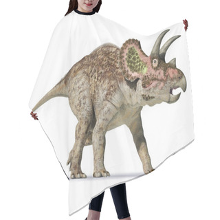 Personality  Triceratops 3d Rendering On White Background Hair Cutting Cape
