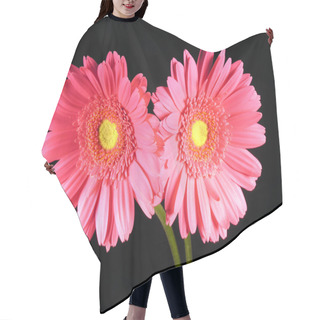 Personality  Two Pink Gerber Daisies Hair Cutting Cape