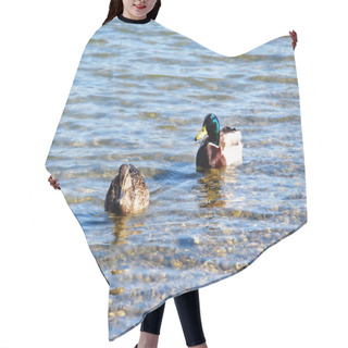 Personality  Duck Couple On Water Hair Cutting Cape