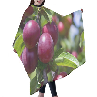 Personality  Plums On The Tree Hair Cutting Cape