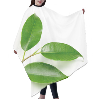Personality  Leaves Hair Cutting Cape