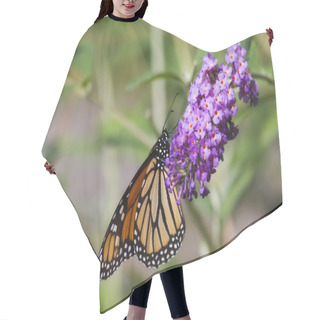 Personality  Monarch Butterfly Hair Cutting Cape