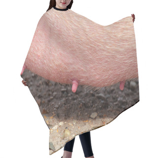 Personality  Nipples Of A Sow Hair Cutting Cape