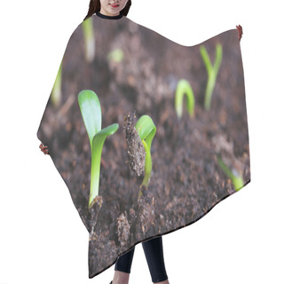 Personality  Small Green Seedling Hair Cutting Cape