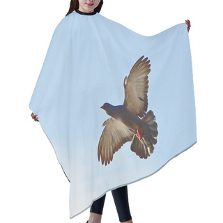 Personality  Rock Pigeon Hair Cutting Cape
