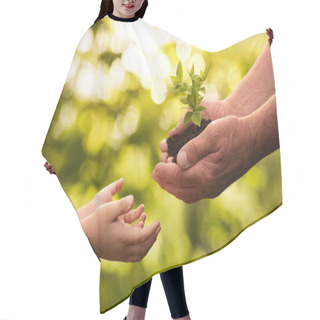 Personality  Close Up Of Senior Hands Giving Small Plant To A Child Hair Cutting Cape