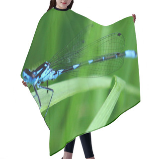 Personality  Dragonfly Hair Cutting Cape