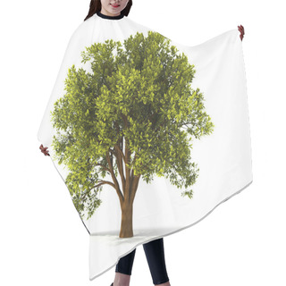 Personality  3d Summer Tree Hair Cutting Cape