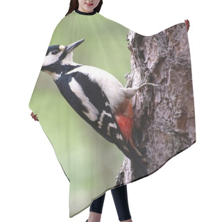 Personality  Woodpecker Hair Cutting Cape