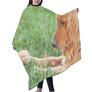 Personality  Dog And Kitten Hair Cutting Cape