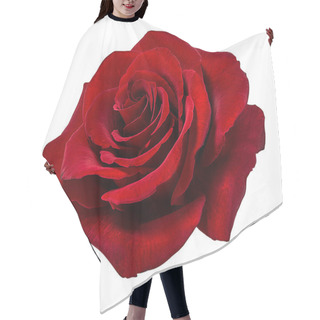 Personality  Rose Isolated On White Background Hair Cutting Cape