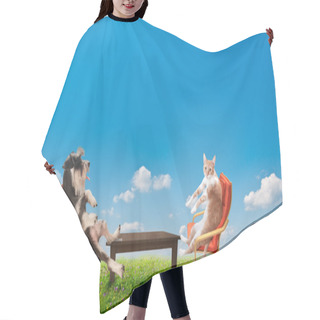 Personality  Cat And Dog Relaxing Hair Cutting Cape