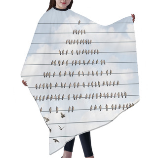 Personality  Business Pyramid Hair Cutting Cape