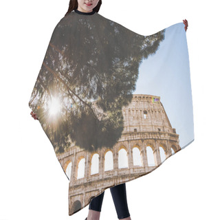 Personality  Coliseum Hair Cutting Cape