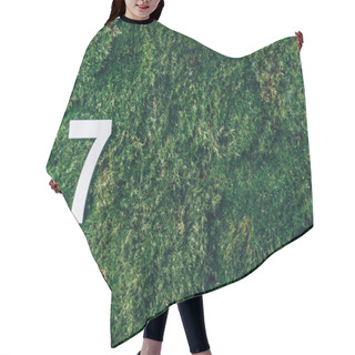 Personality  Ecology, Zero Waste. Green Grass And Digit Seven 7. Birthday Greeting Card. Anniversary Concept. Top View. Copy Space. White Numeral Over Eco Moss Background. Numerical Digit Hair Cutting Cape