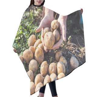 Personality  Cropped View Of Senior Self-employed Farmer Holding Potatoes  Hair Cutting Cape