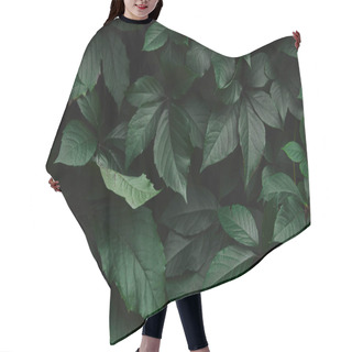 Personality  Close Up Of Dark Green Wild Vine Leaves In Park Hair Cutting Cape